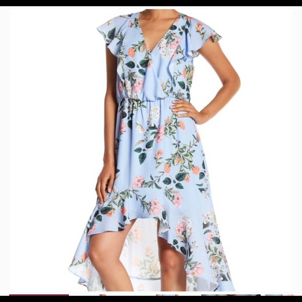 Parker NY High to Low Silk Dress